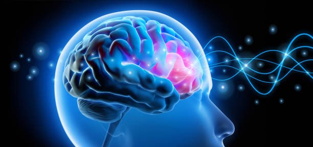 اماكن عمل رسم مخ ، خدمة رسم مخ عادي ورسم مخ مطول بالغين و أطفال، رسم مخ بالمنزل ، اماكن عمل رسم مخ، احجز الآن