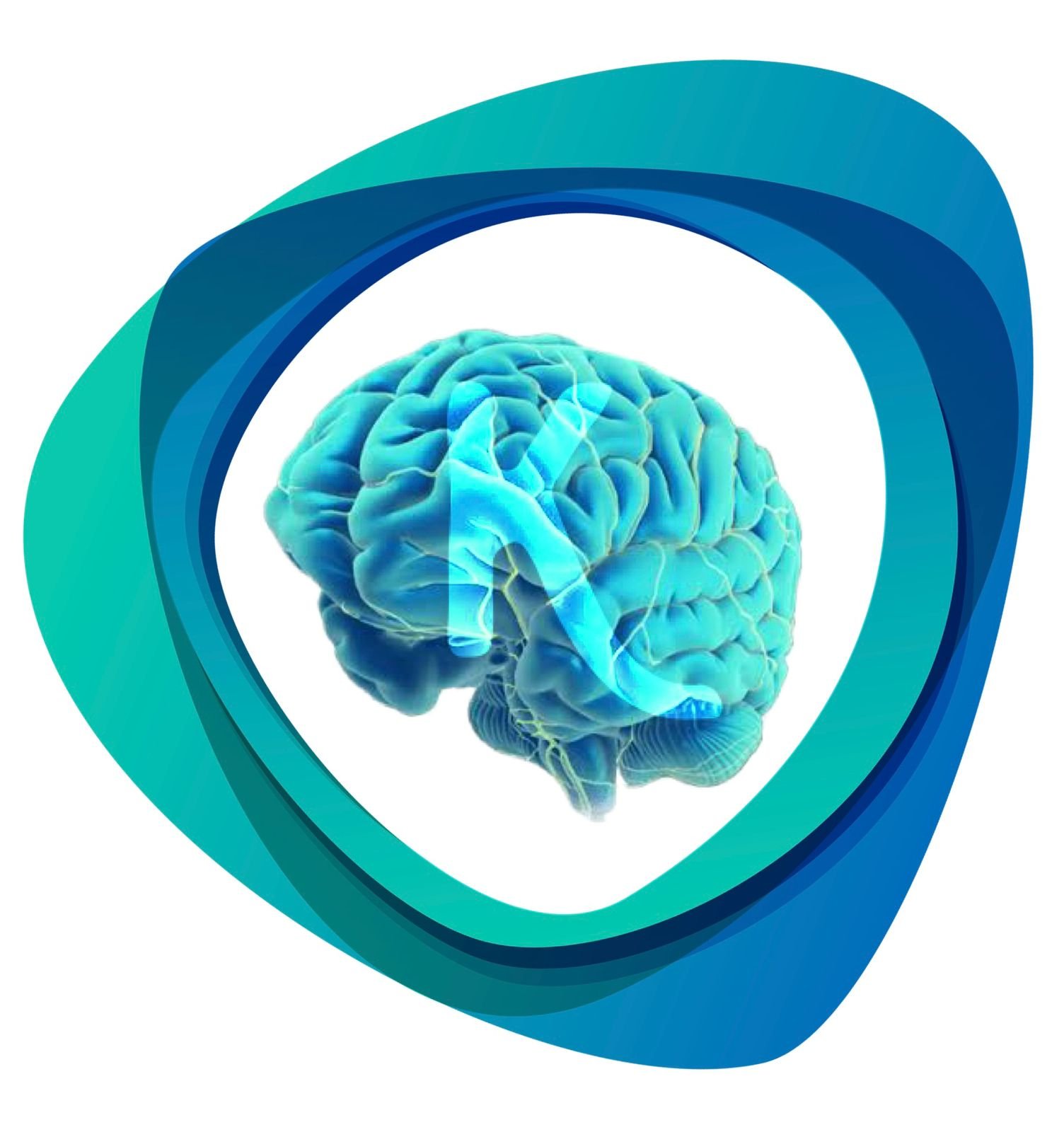 ‎⁨رسم المخ⁩.JPG